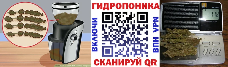 OMG ONION Серафимович Печенье с ТГК марихуана