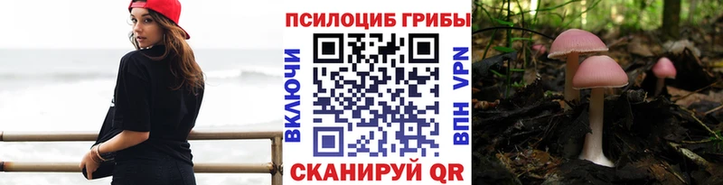 магазин продажи   Серафимович  Галлюциногенные грибы Psilocybe 